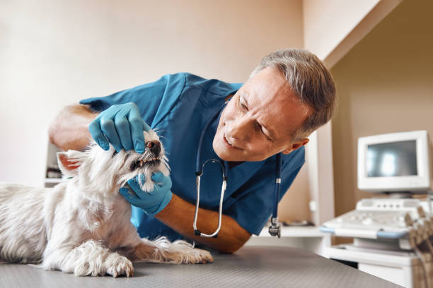 Best Pediatric Emergency Dentist in Venus, TX
